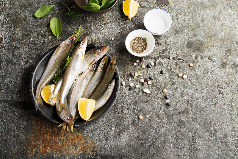 Why People Who Eat Fish Are Healthier