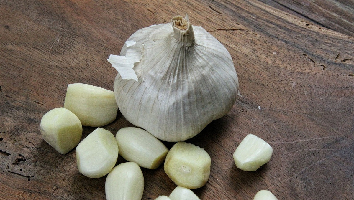 Flavor Spotlight:  Roasted Garlic Butter