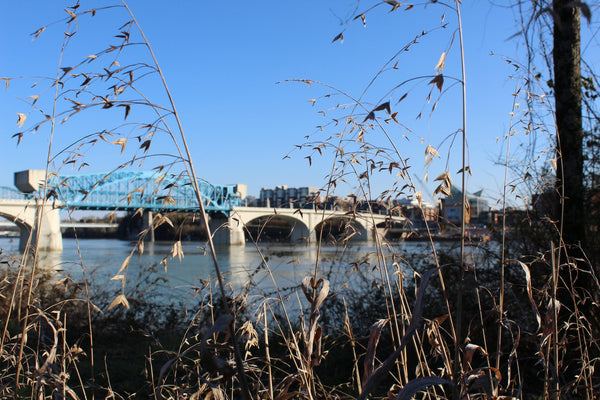 The Chattanooga Butter Company Gift Card! - The Chattanooga Butter Company - 2