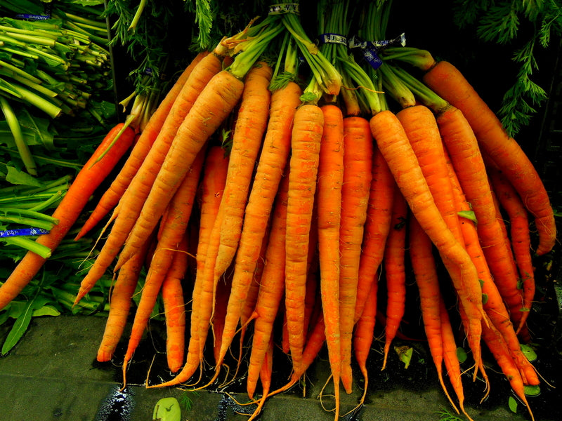 The Most Common Ways to Prepare Carrots